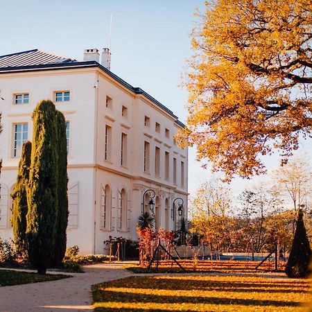 Chateau De Longpre Varilhes Zewnętrze zdjęcie